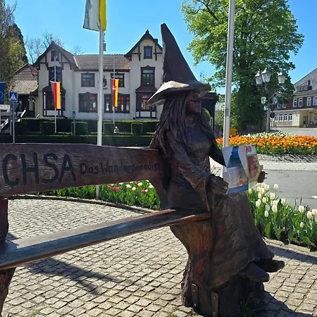 Waldliebe Ankommen, Wohlfuehlen * Bad Sachsa