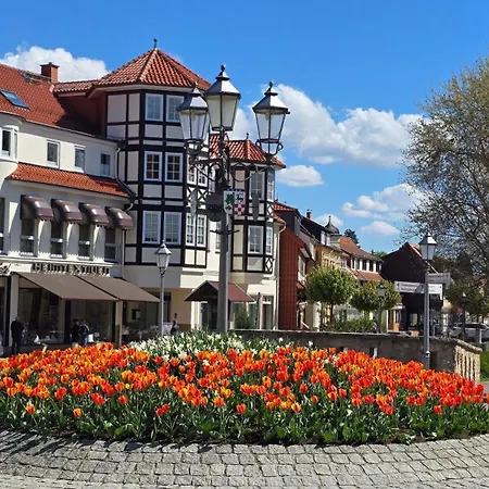 Apartment Waldliebe Ankommen, Wohlfuehlen