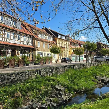 Appartamento Waldliebe Bad Sachsa